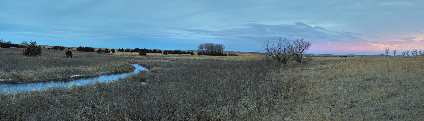 Twilight Pasture