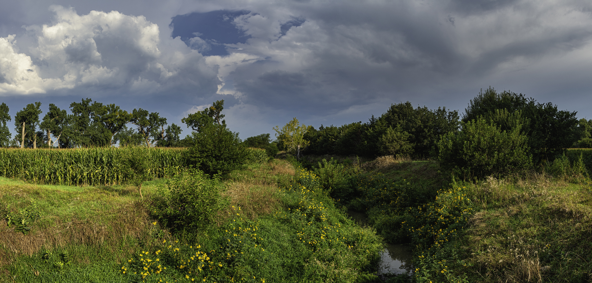 Union Creek Morning II