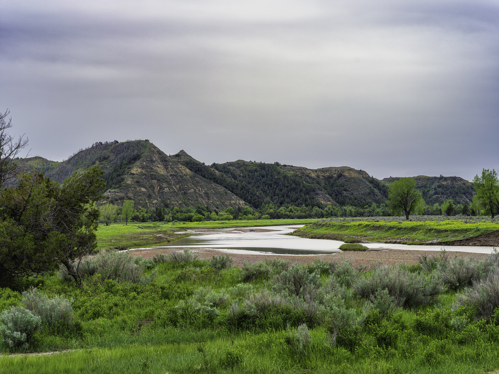 Upper Missouri View