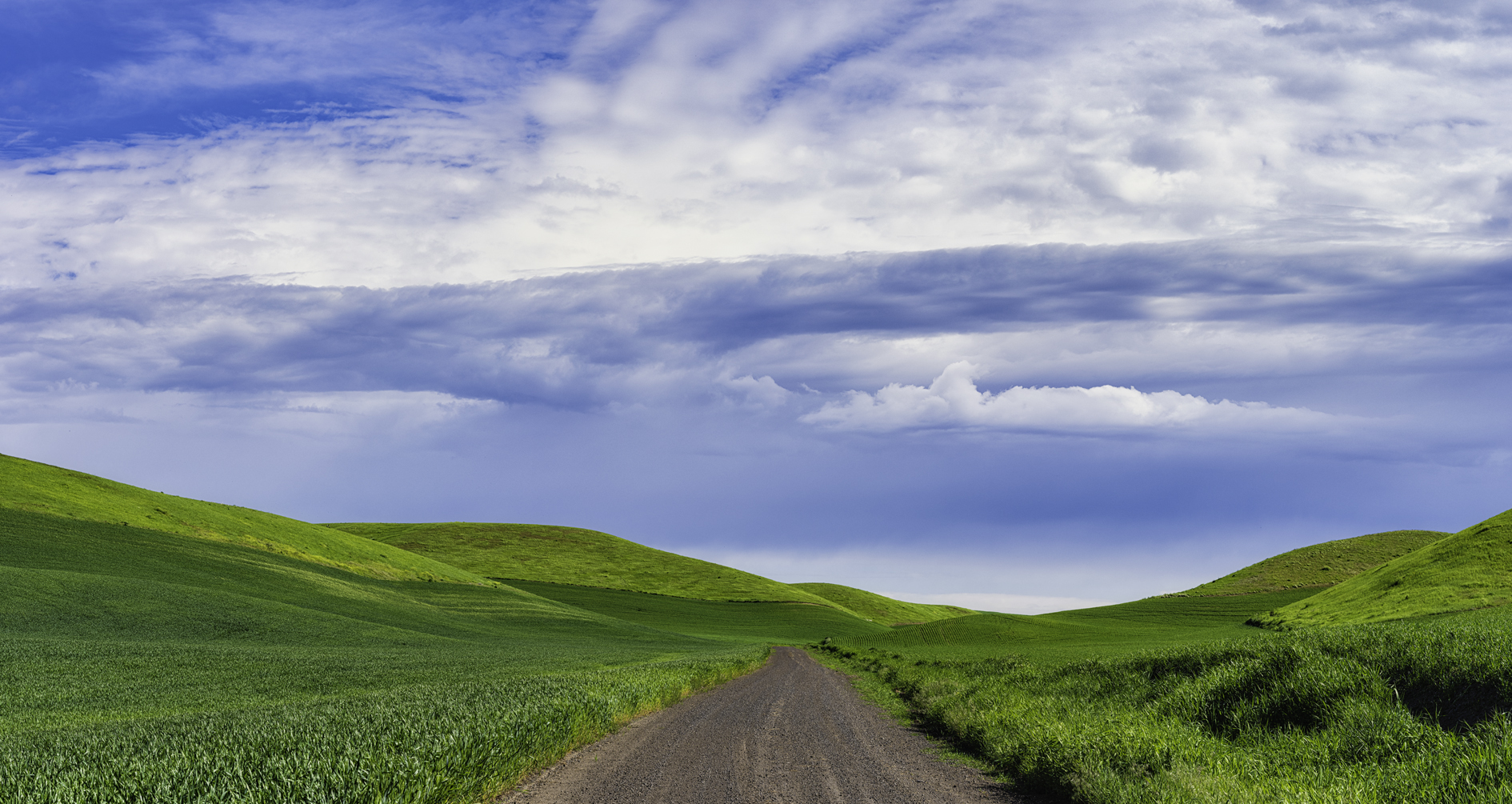 Verdant Morning