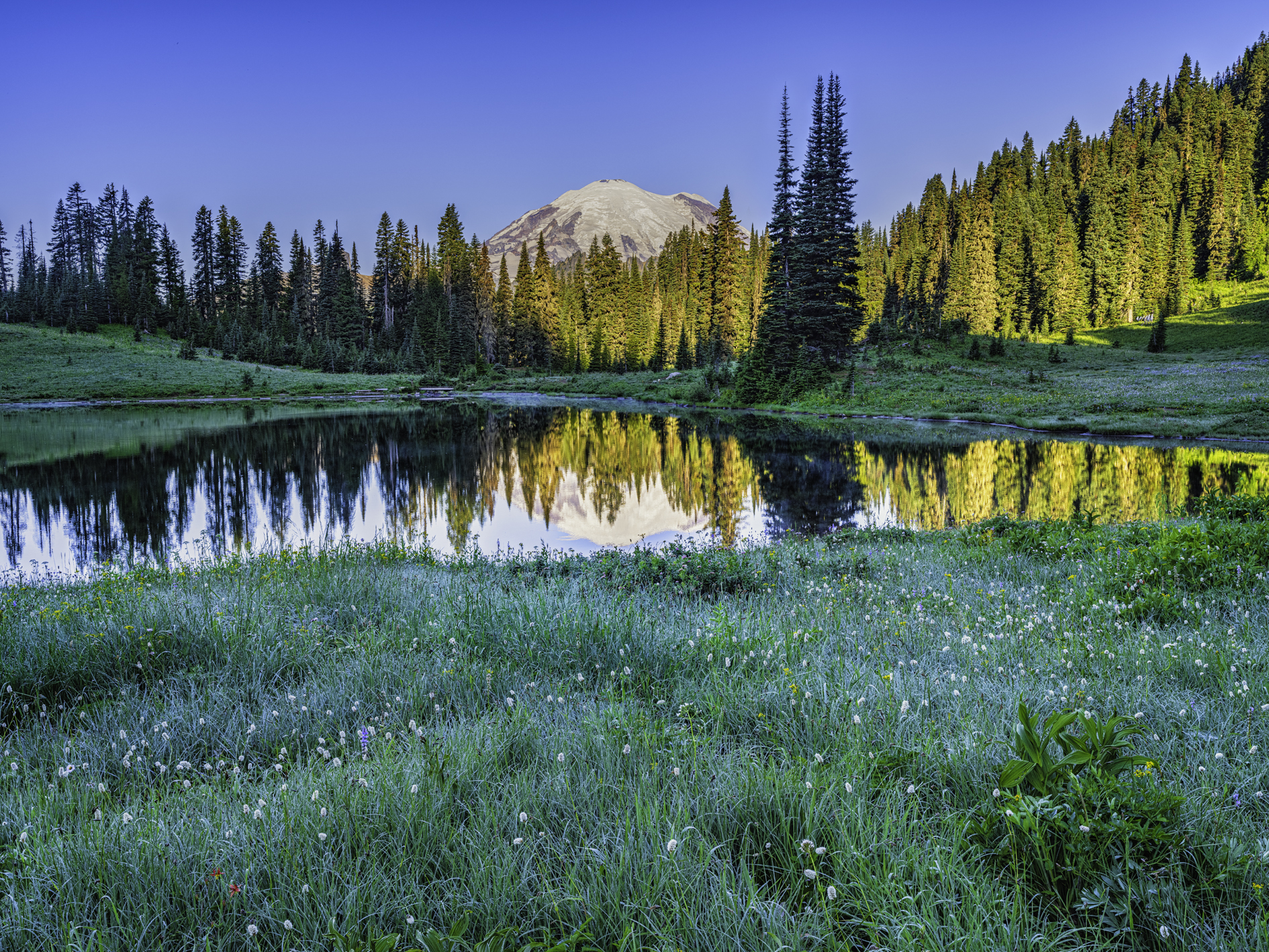 View at Tipsoo Lake