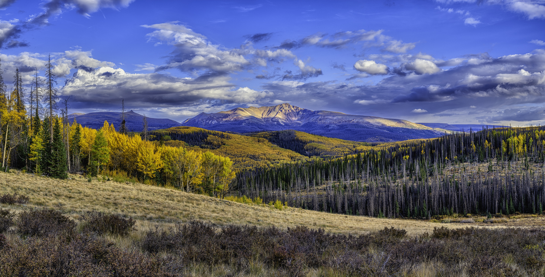 View from Deer Lake