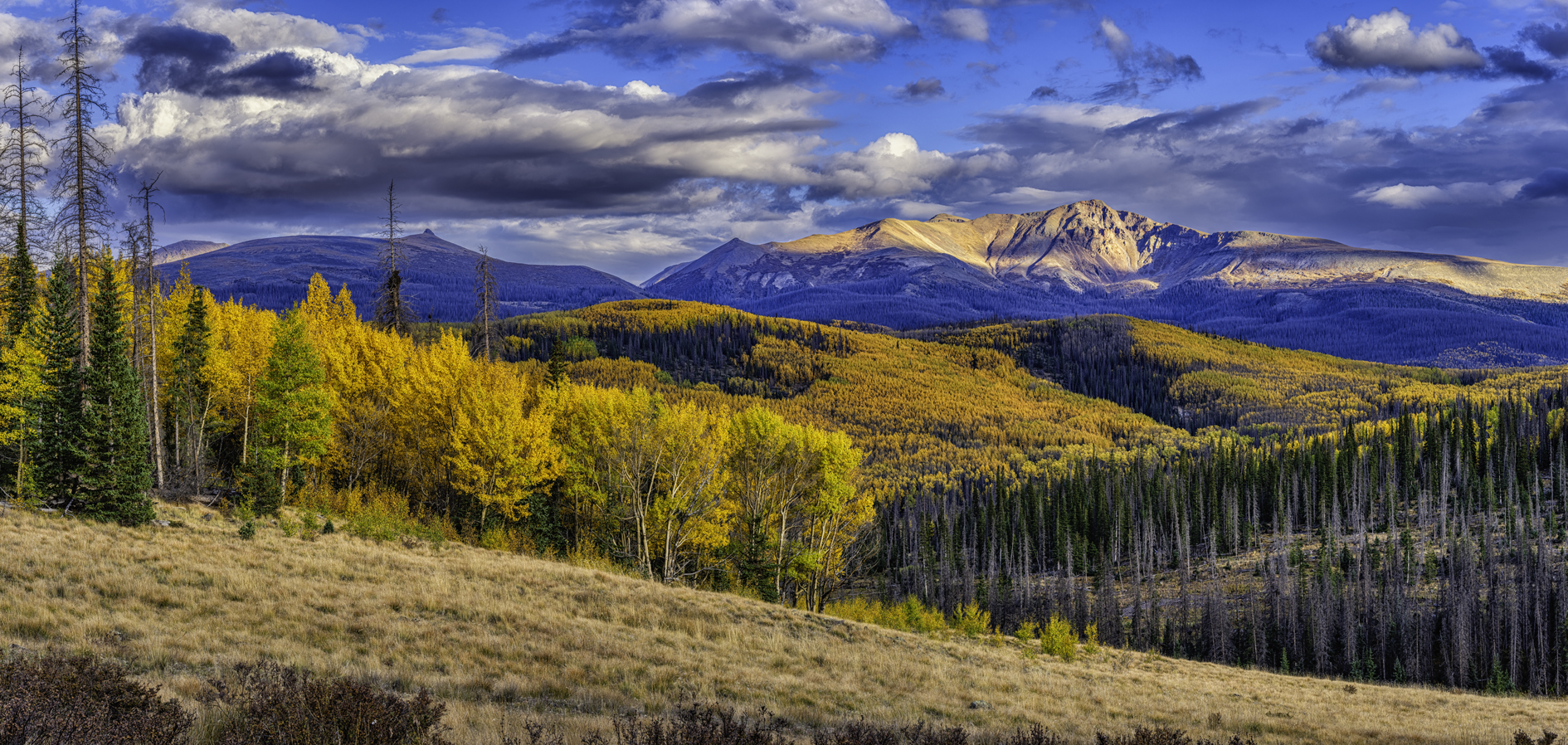 View from Deer Lake II