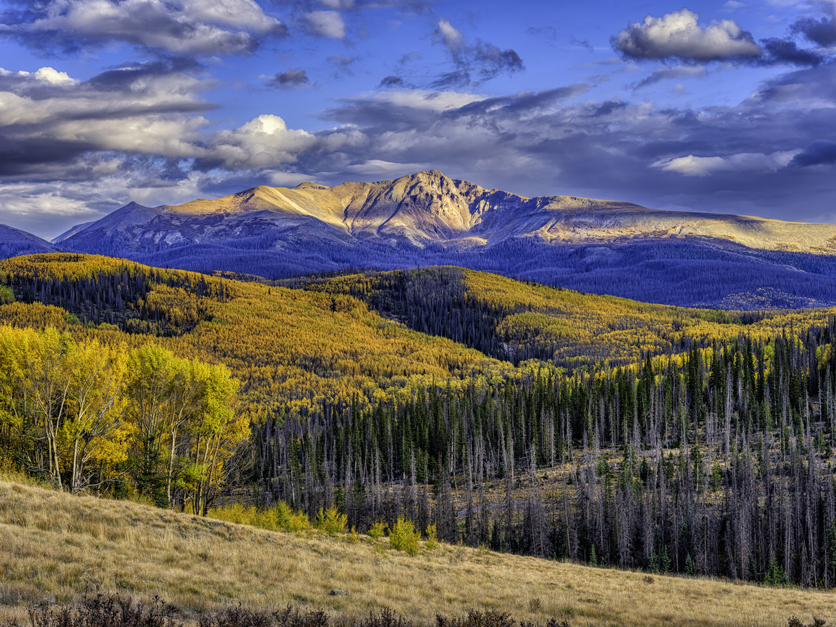 View from Deer Lake III