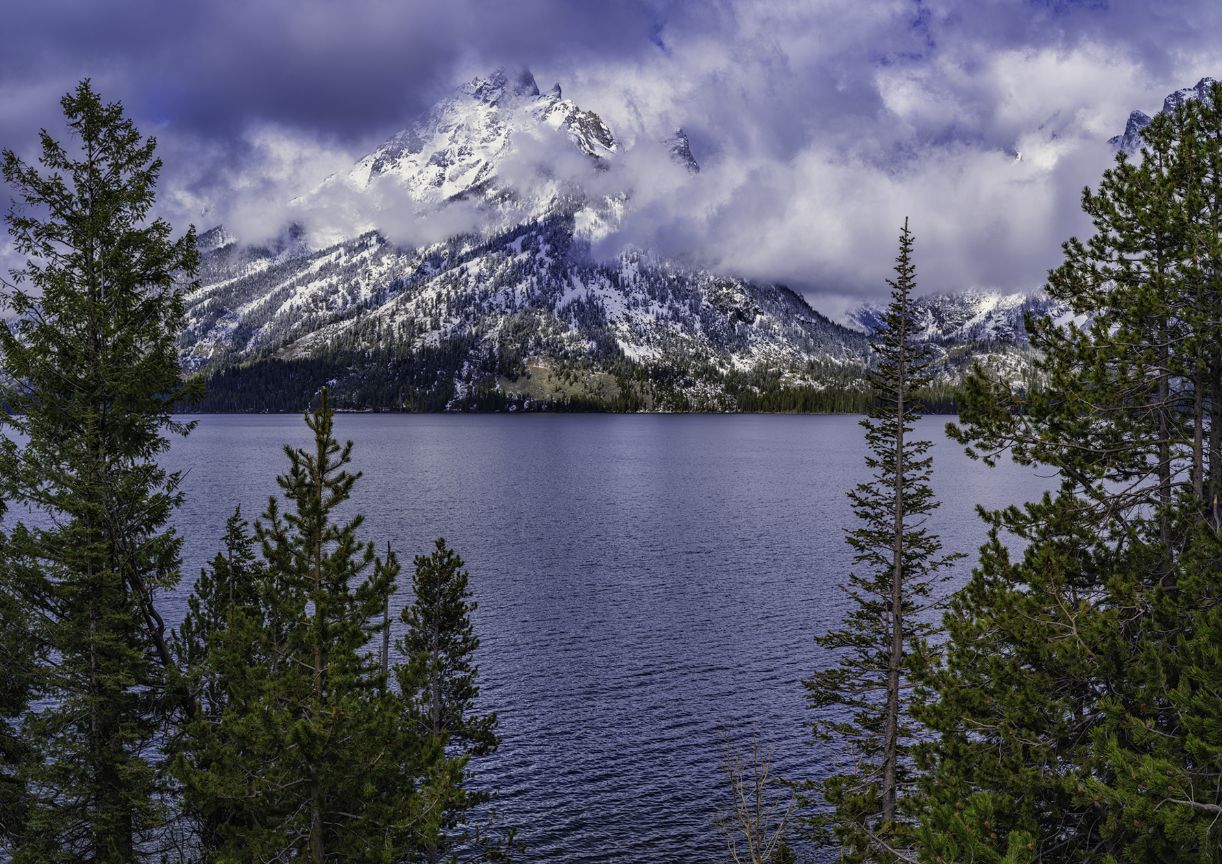 View from Jenny Lake