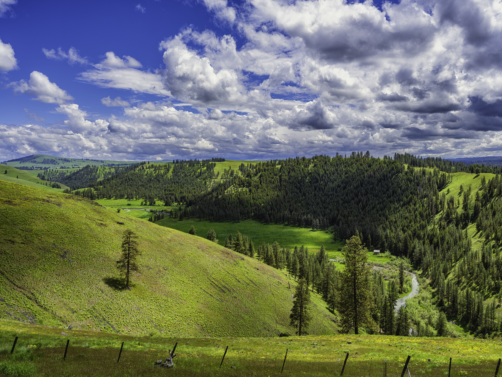 View from Red Hill