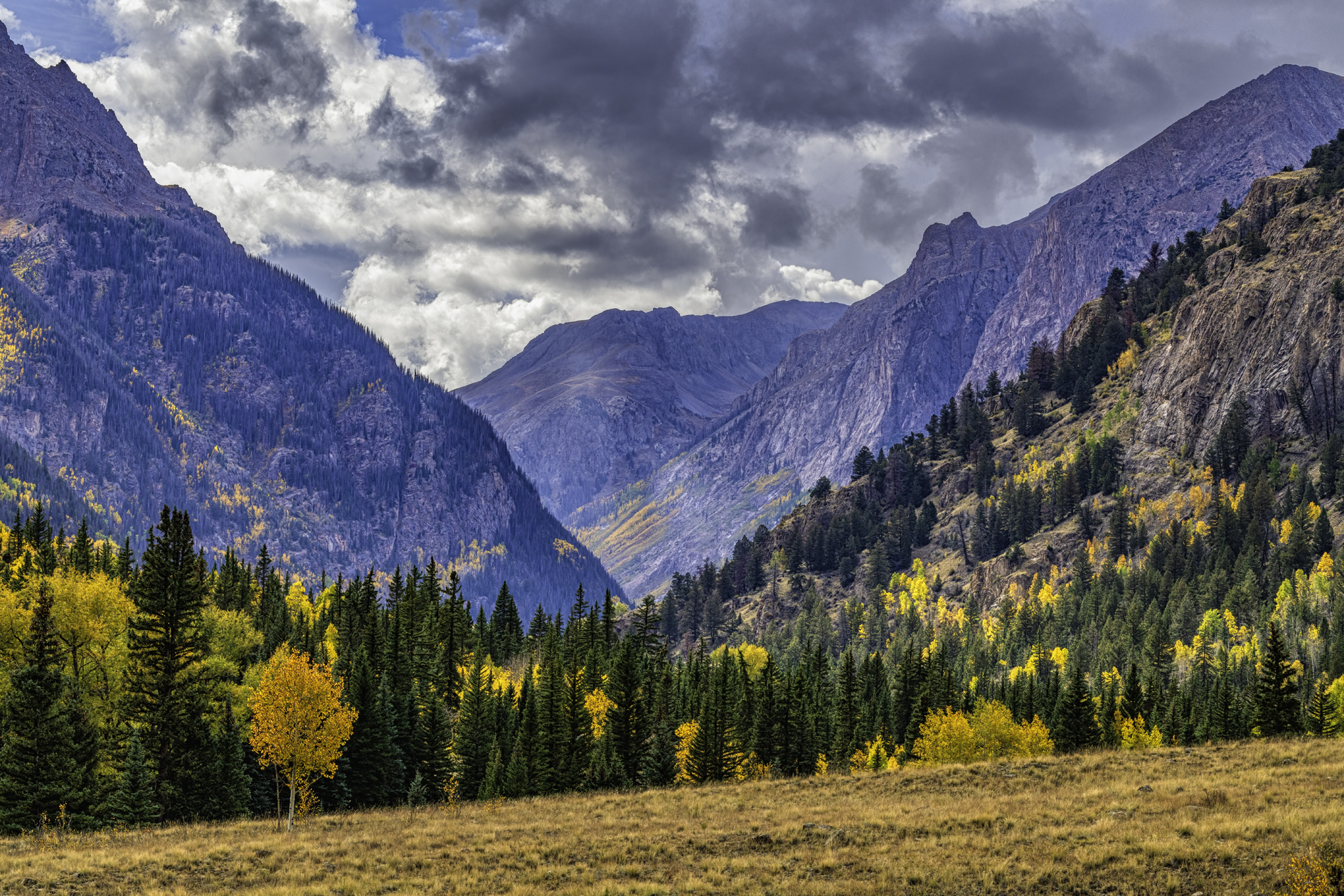 View from the Alpine Loup