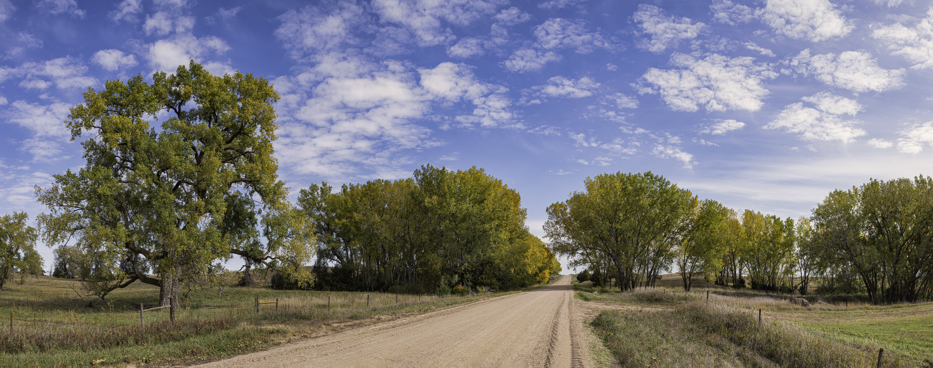 Wagonhammer Autumn