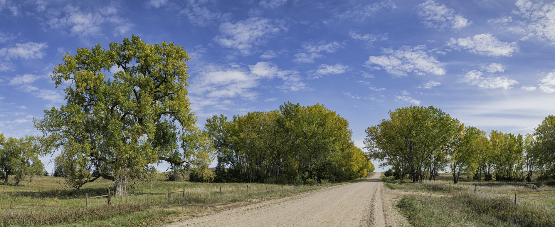 Wagonhammer Autumn III