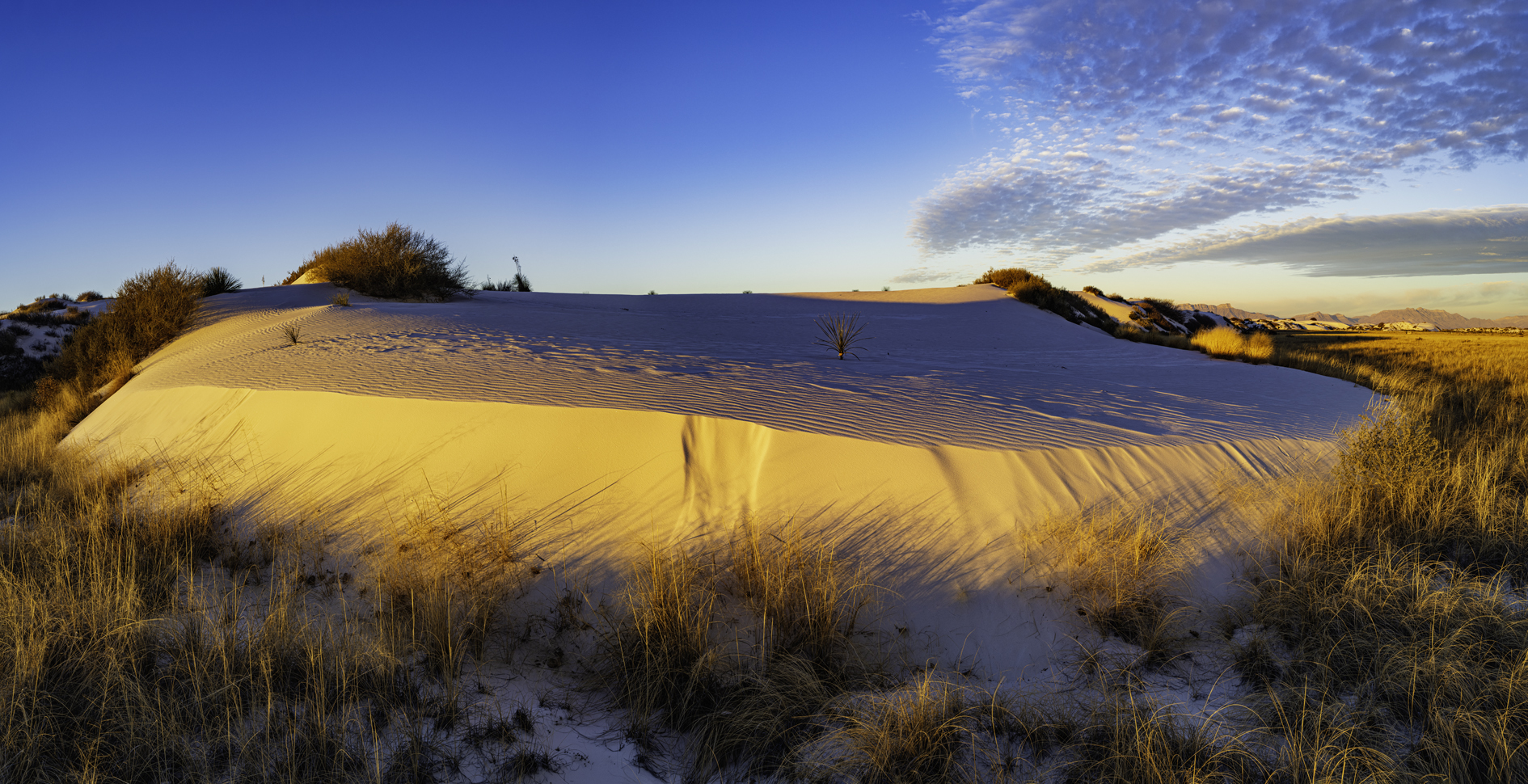 Waking the Dunes