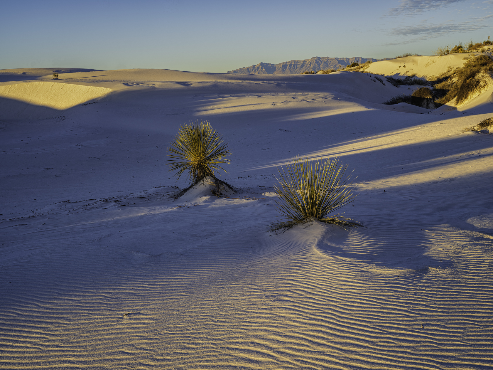 Waking the Dunes II