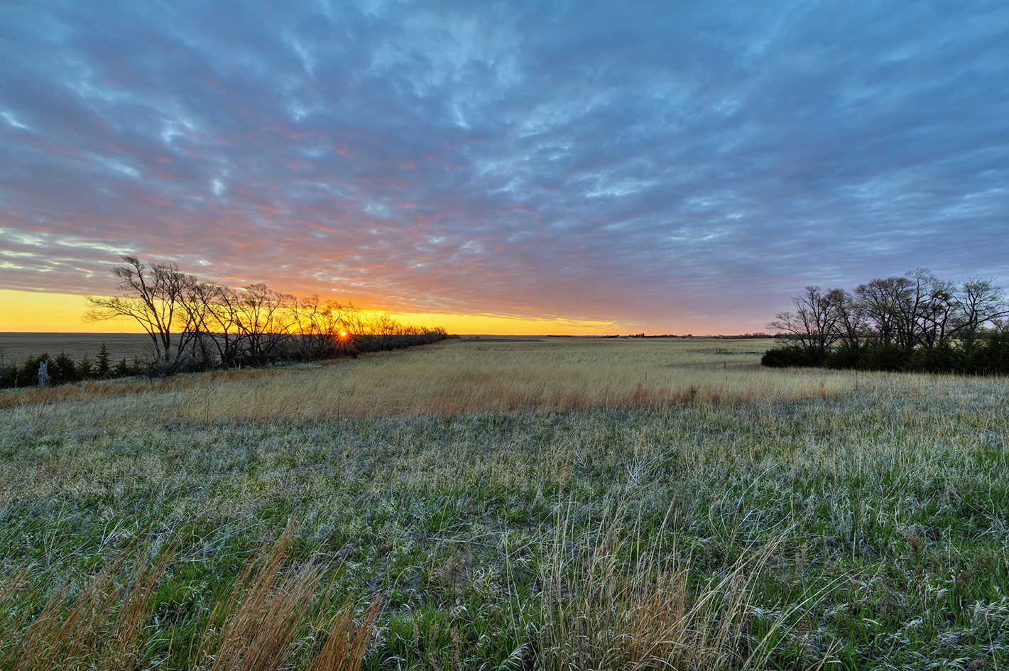 Waking the Prairie