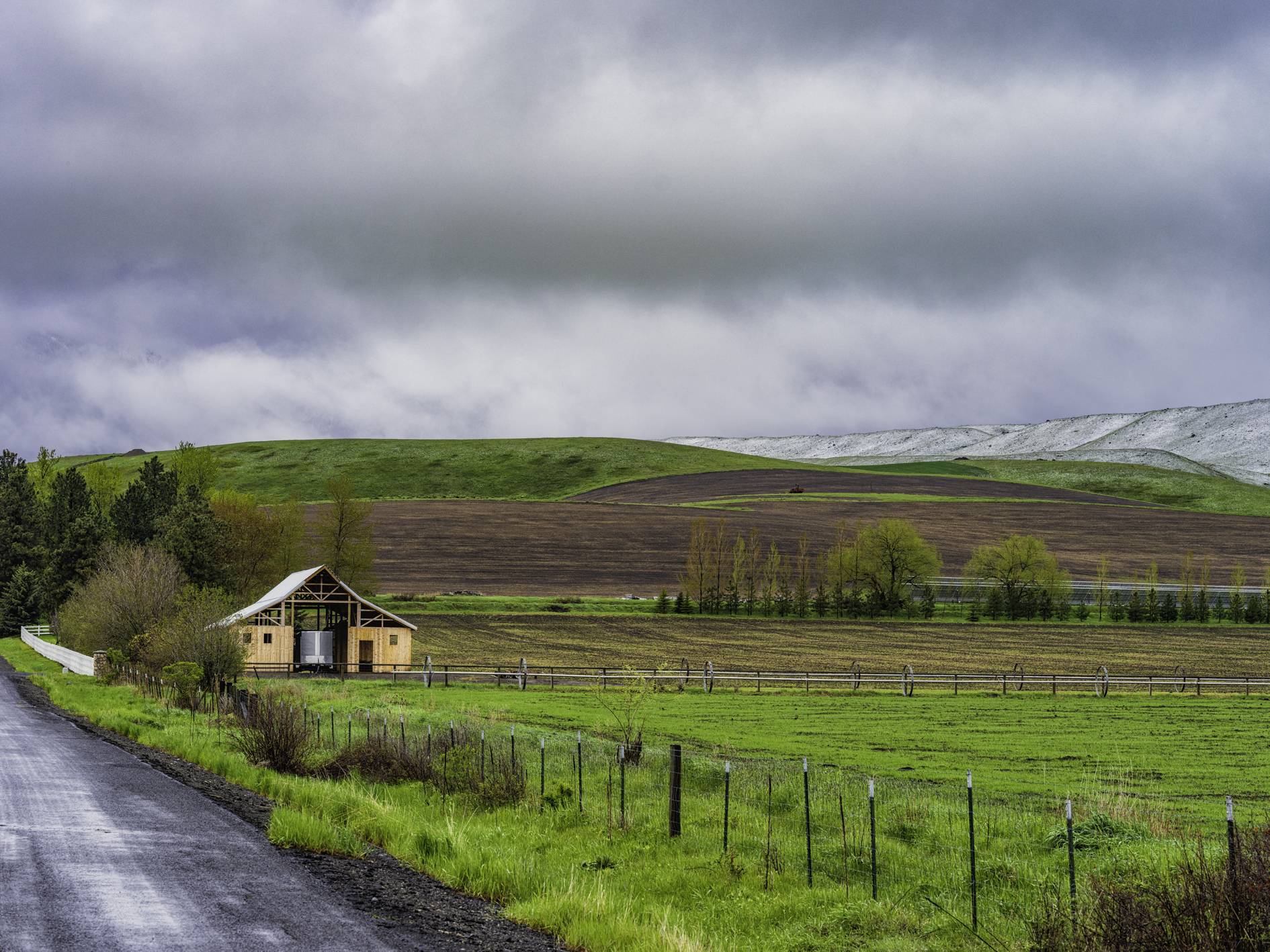 Wallowa County Afternoon II