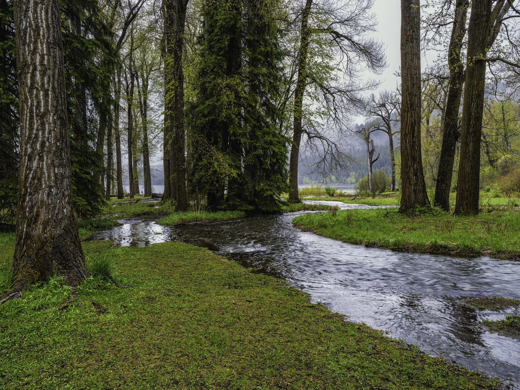 Wallowa River Afternoon