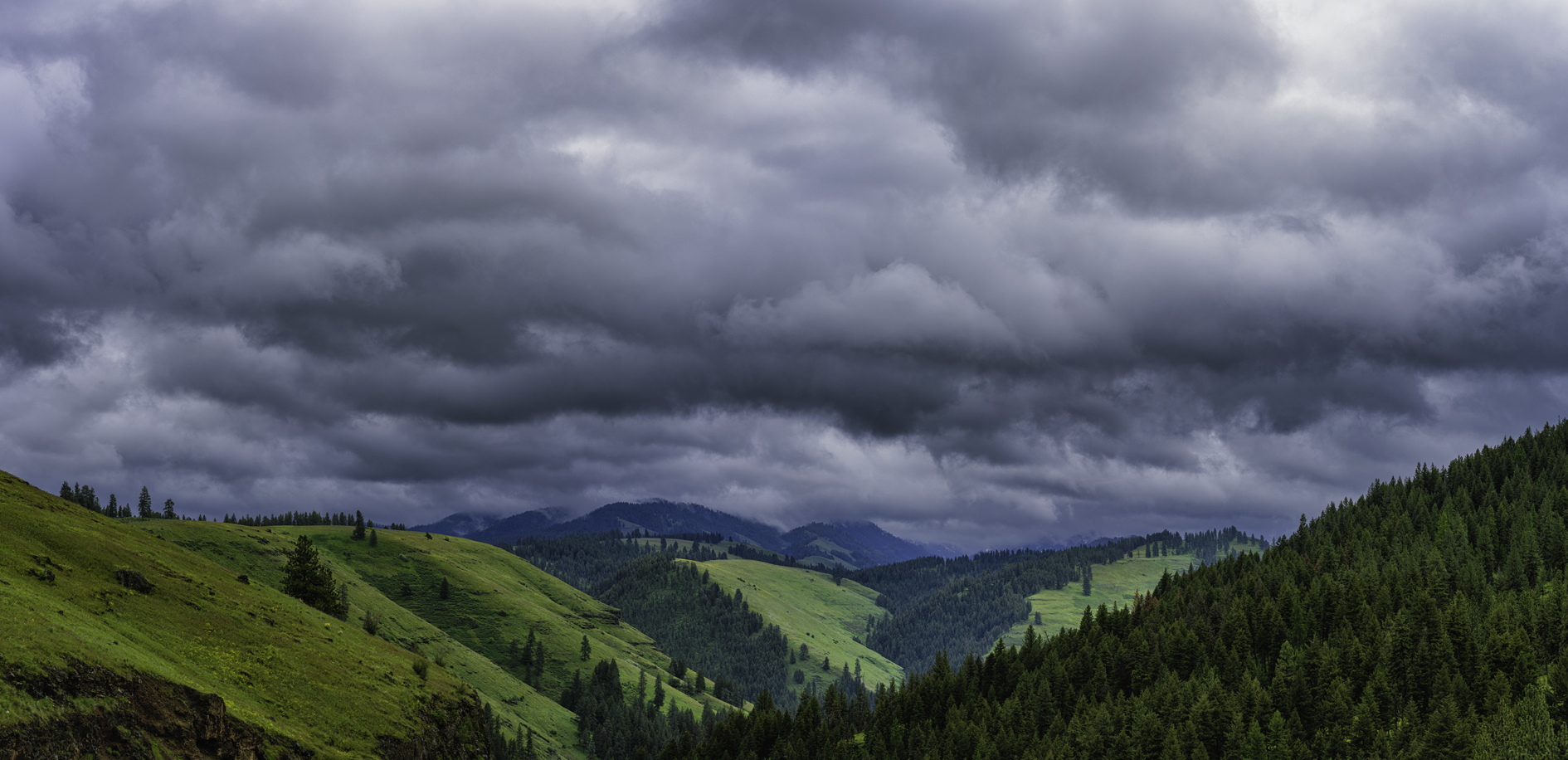 Wallowa View