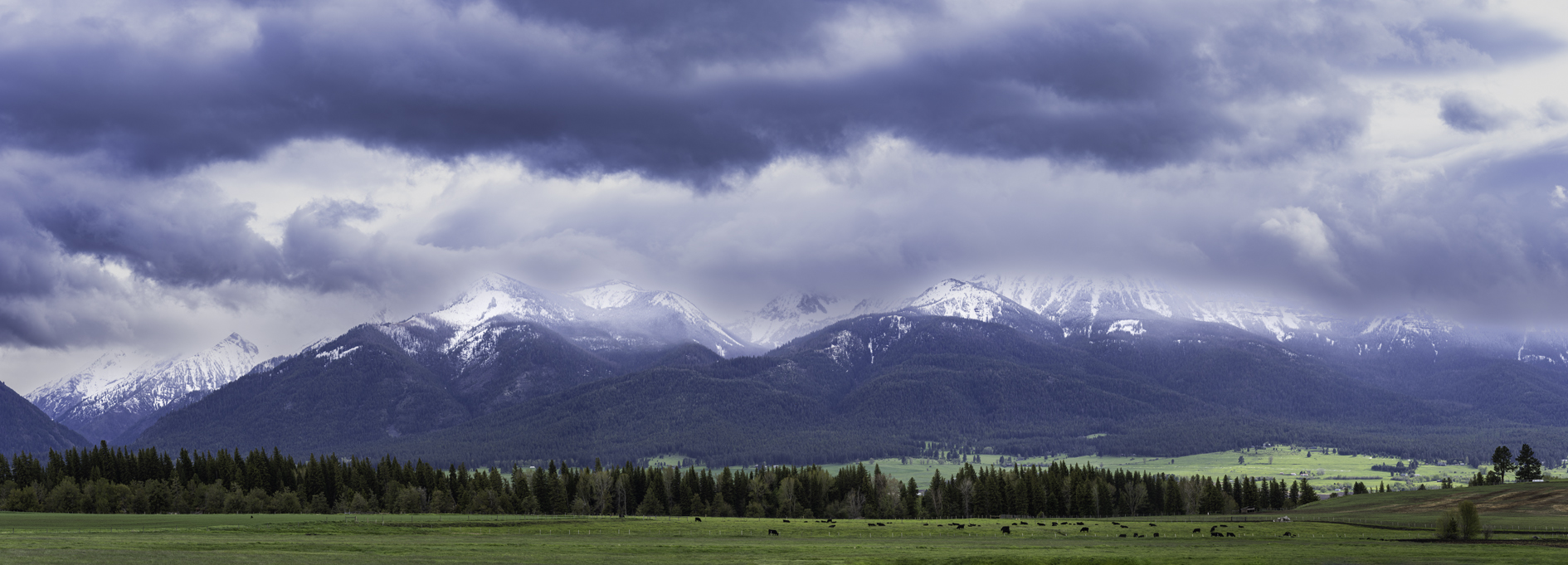 Wallowa View II