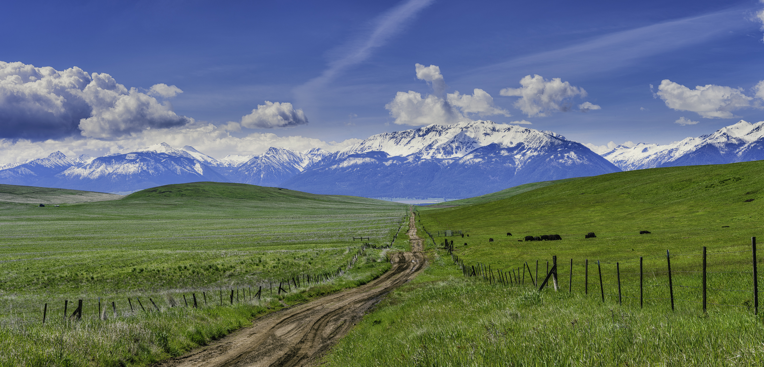 Wallowa View III