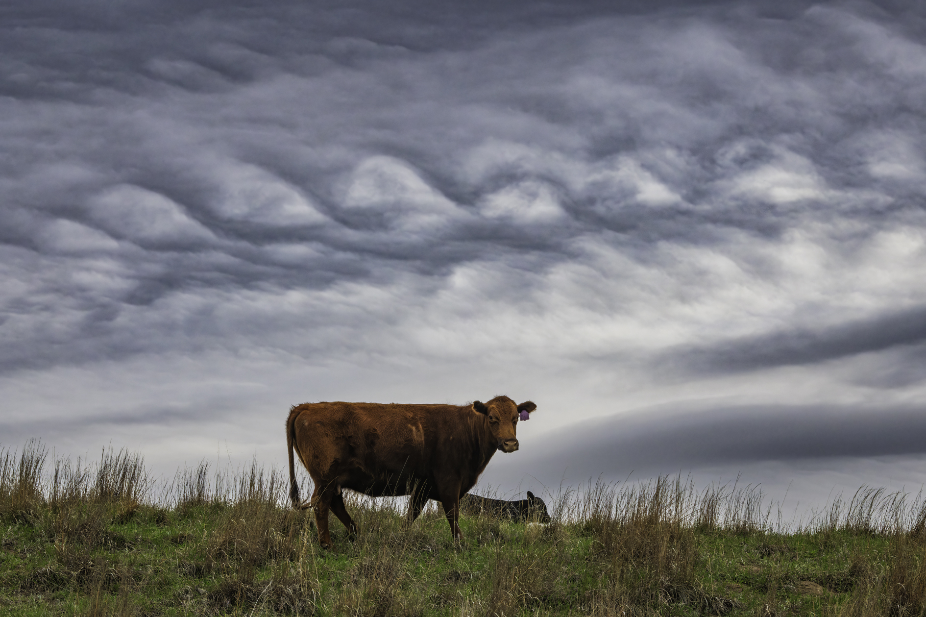 Wave Cloud Morning