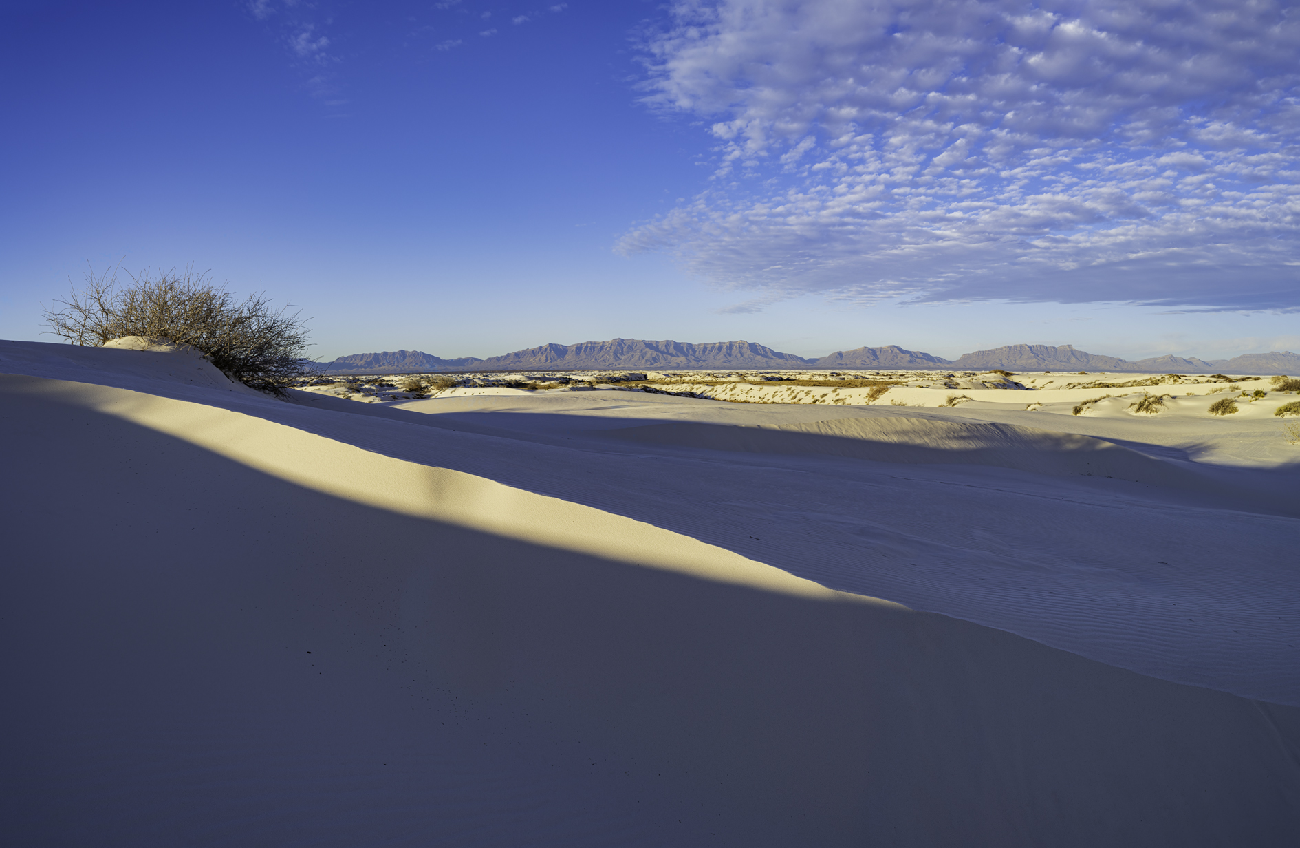 White Sands Morning II