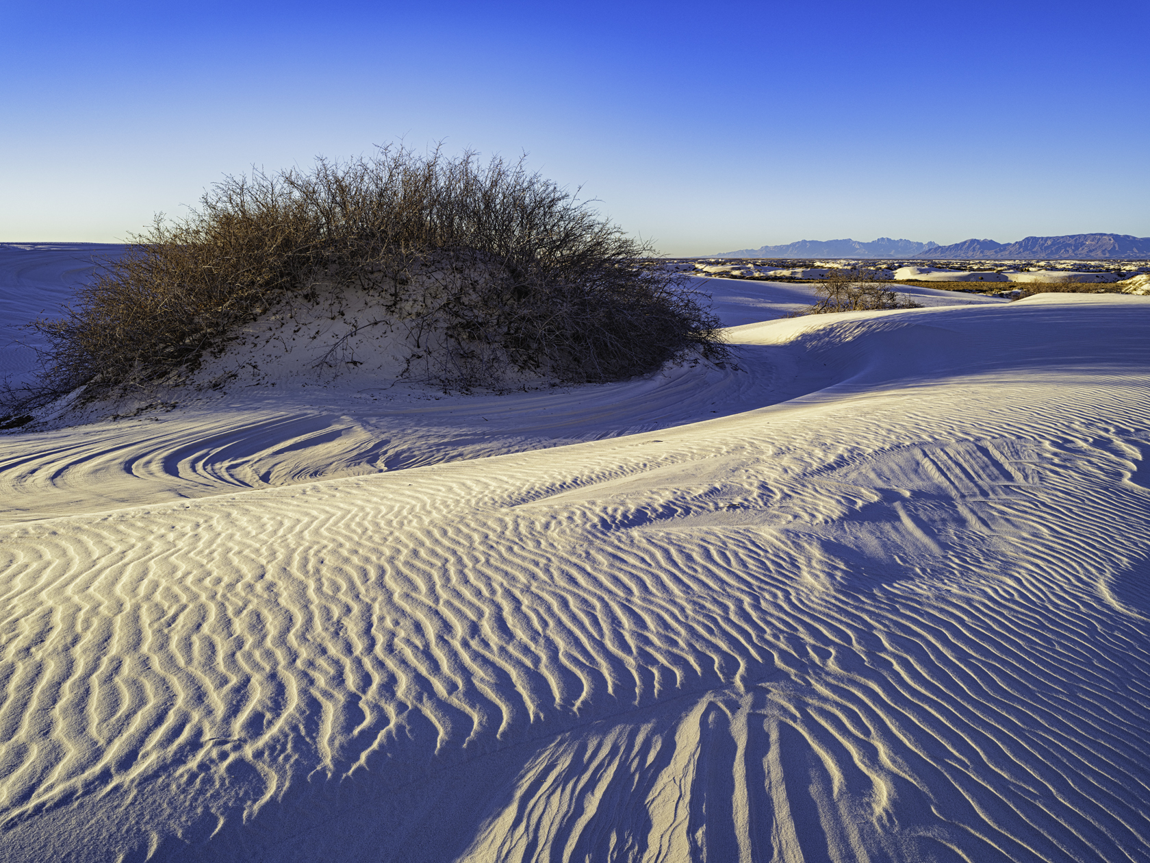 White Sands Morning III