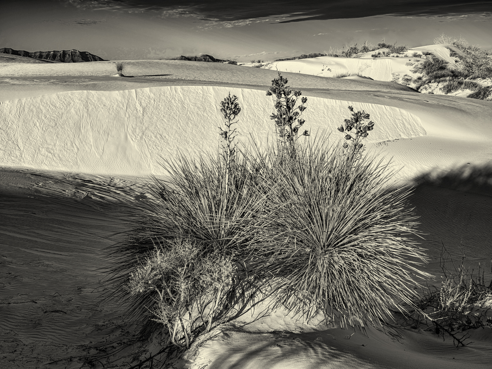 White Sands Morning IV