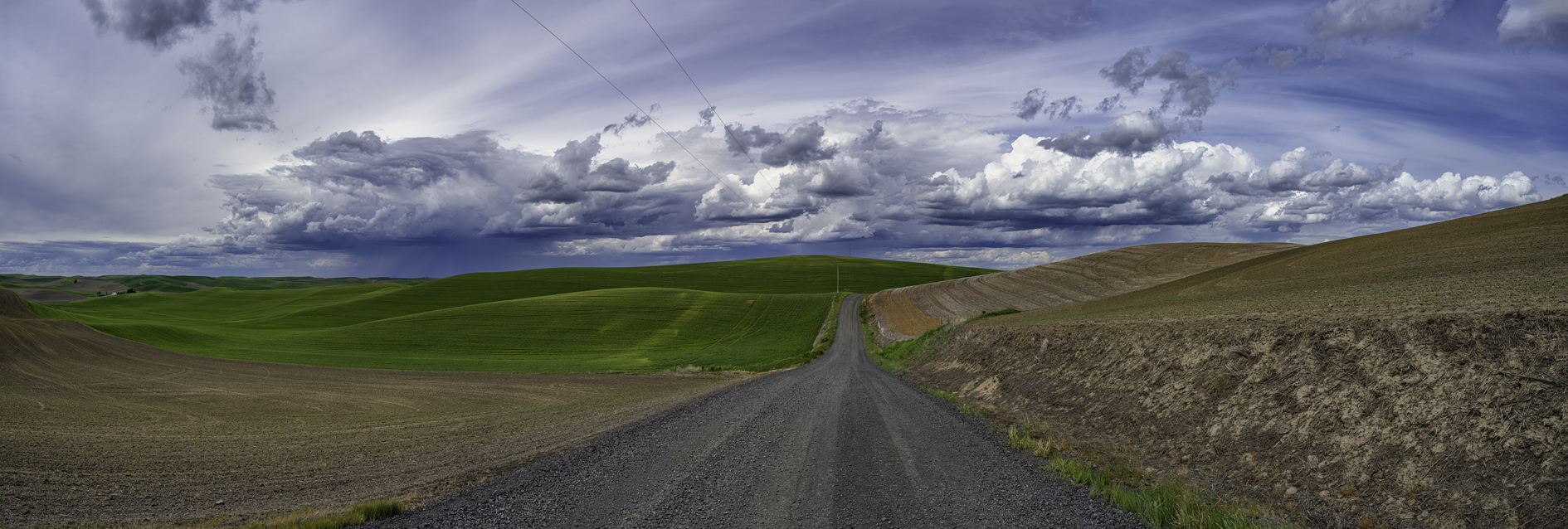 Whitman County Afternoon II