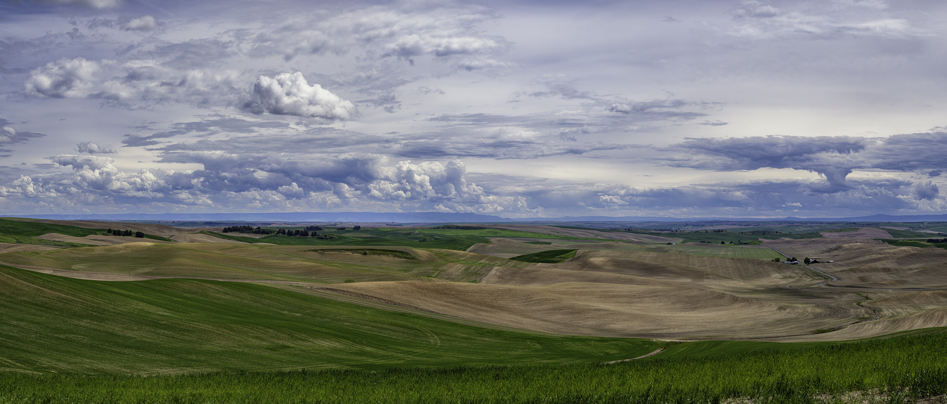 Whitman County Afternoon III