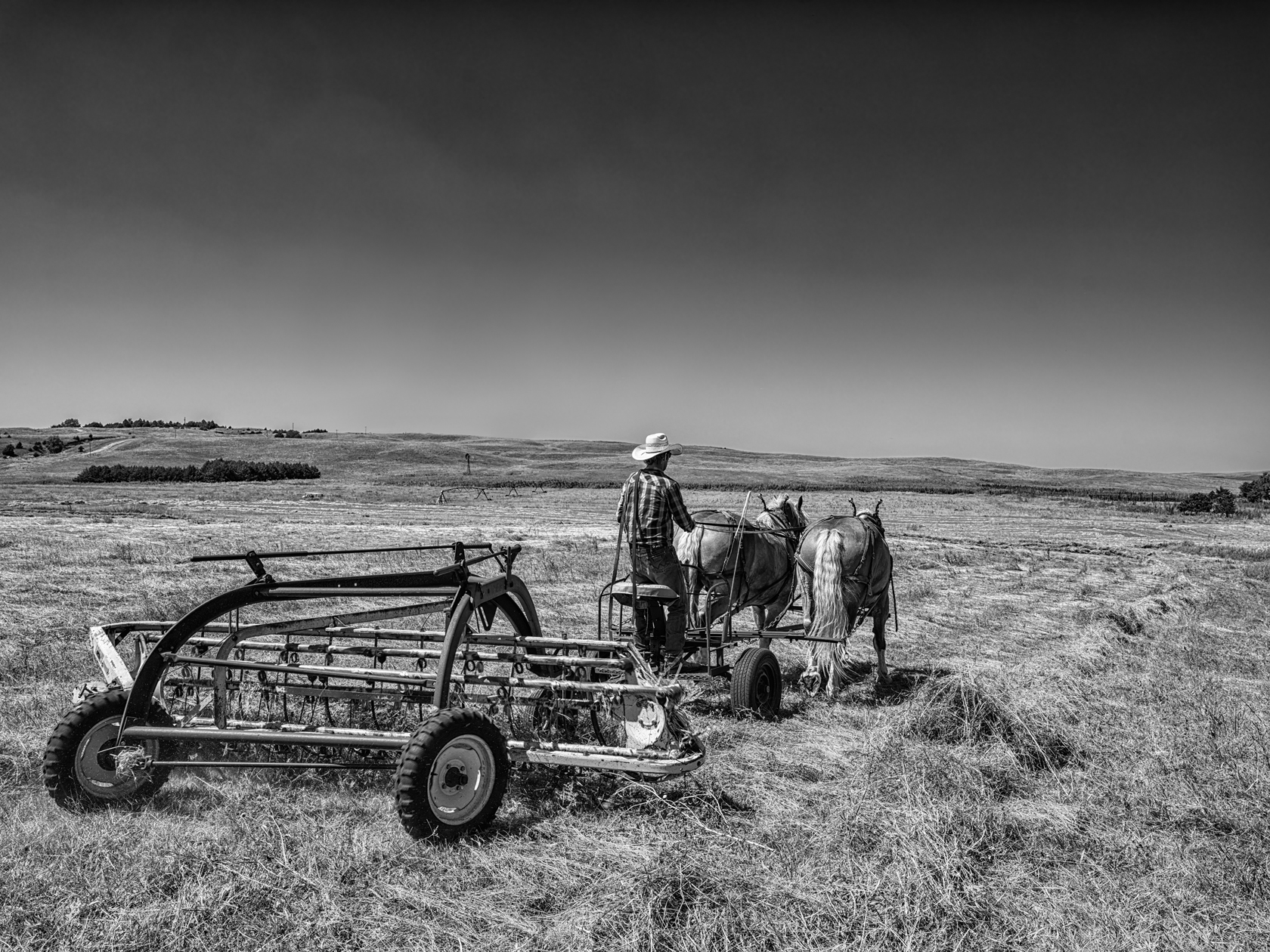 Windrow Afternoon