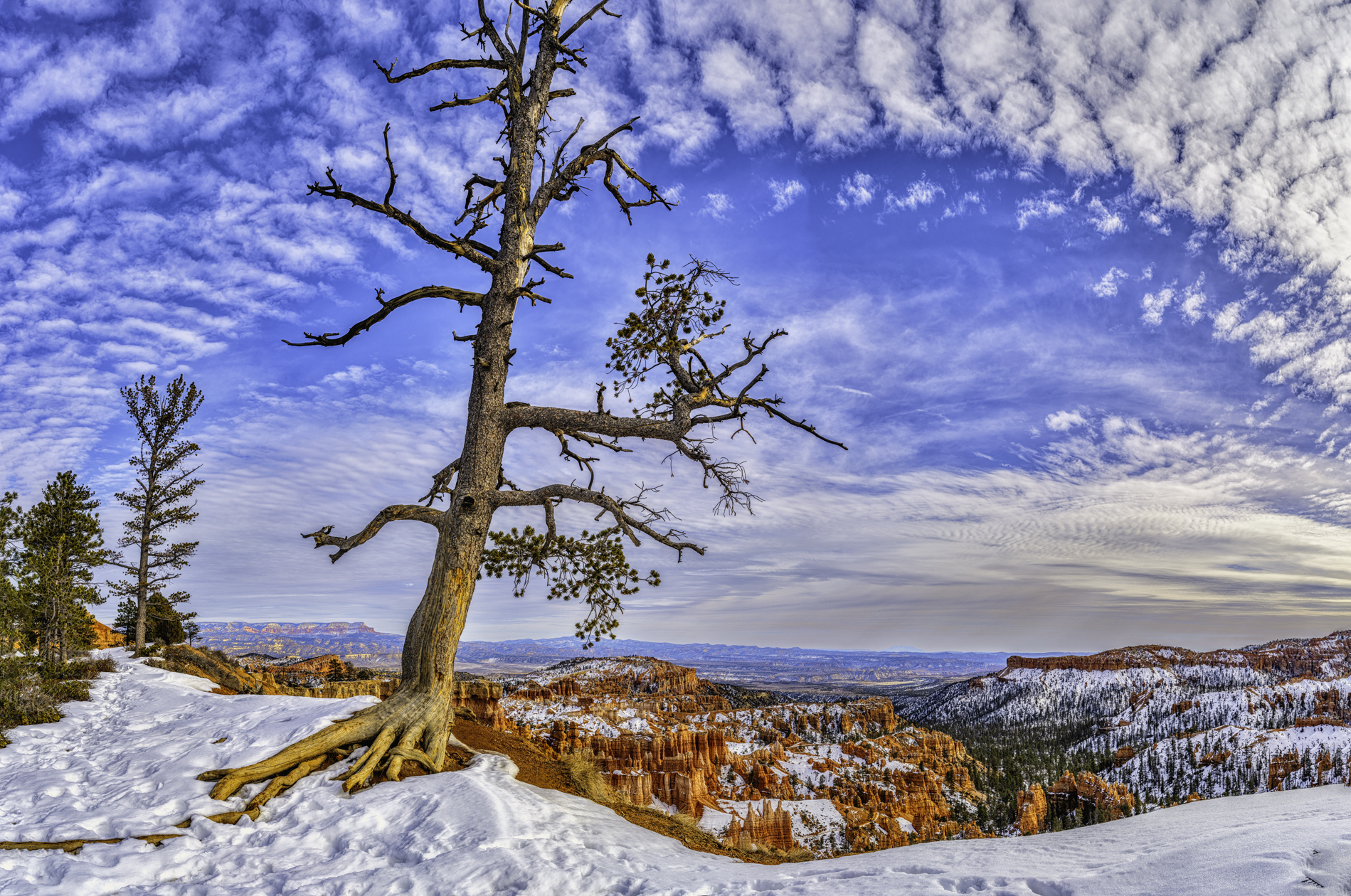 Winter at Bryce Canyon