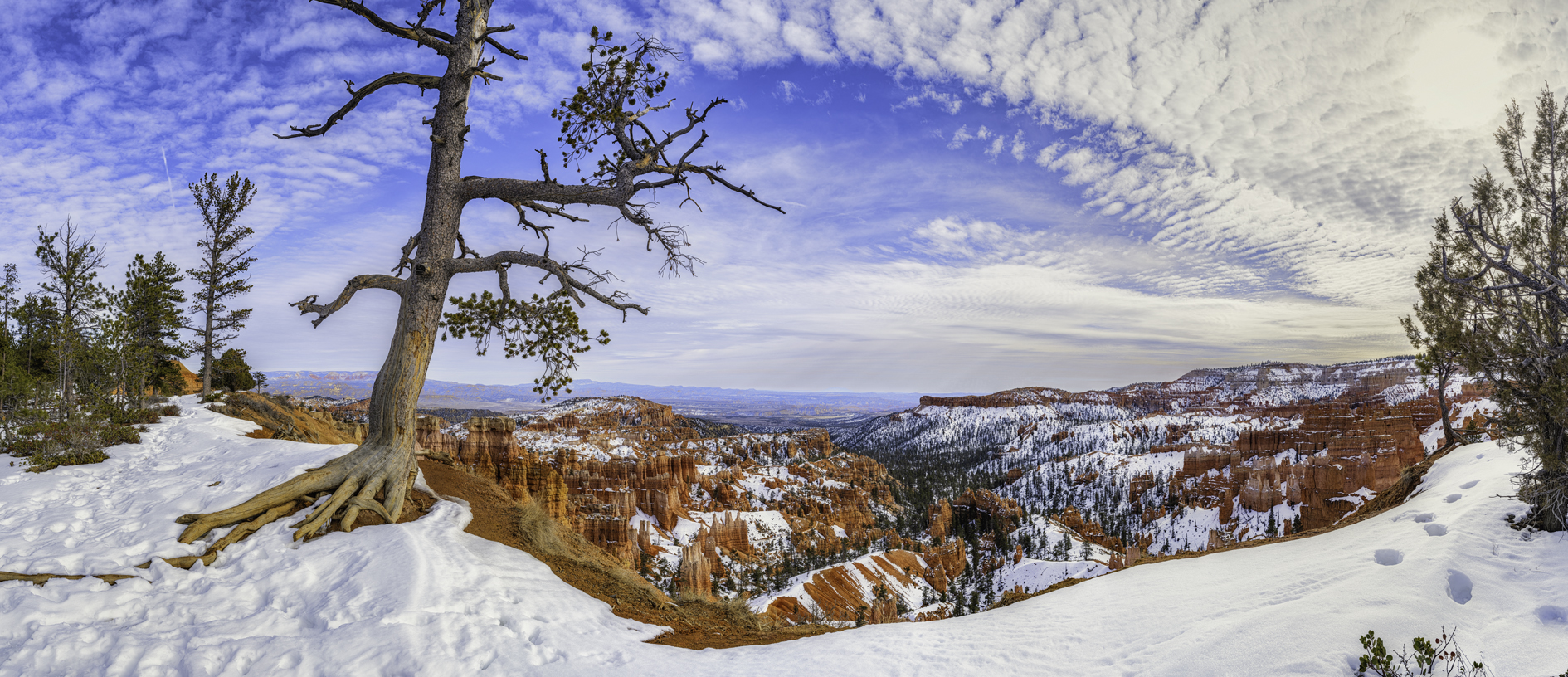 Winter at Bryce Canyon II