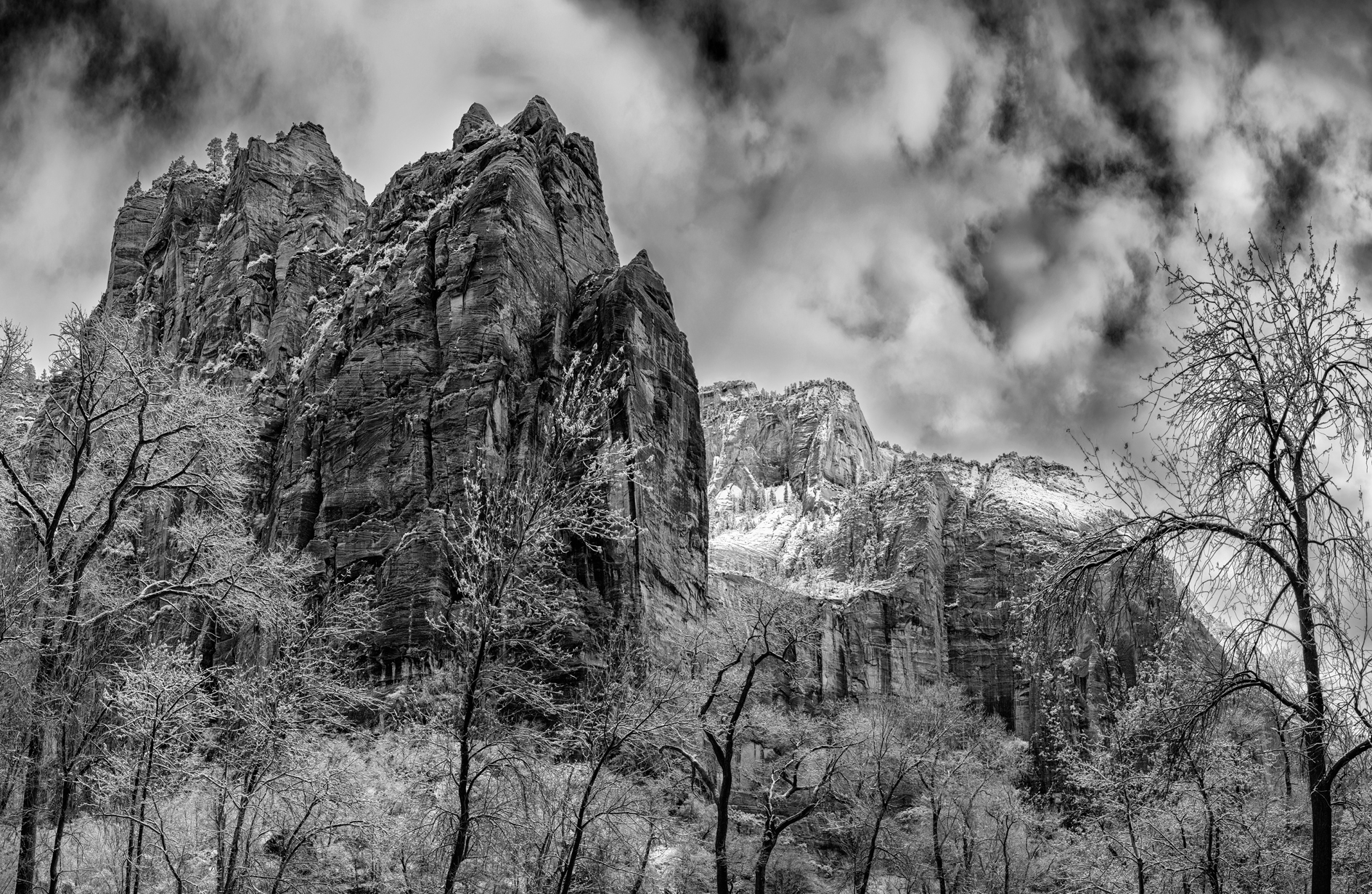 Winter in Zion