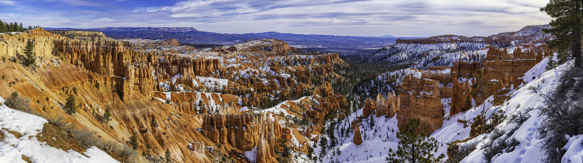 Wintry Canyon Vista