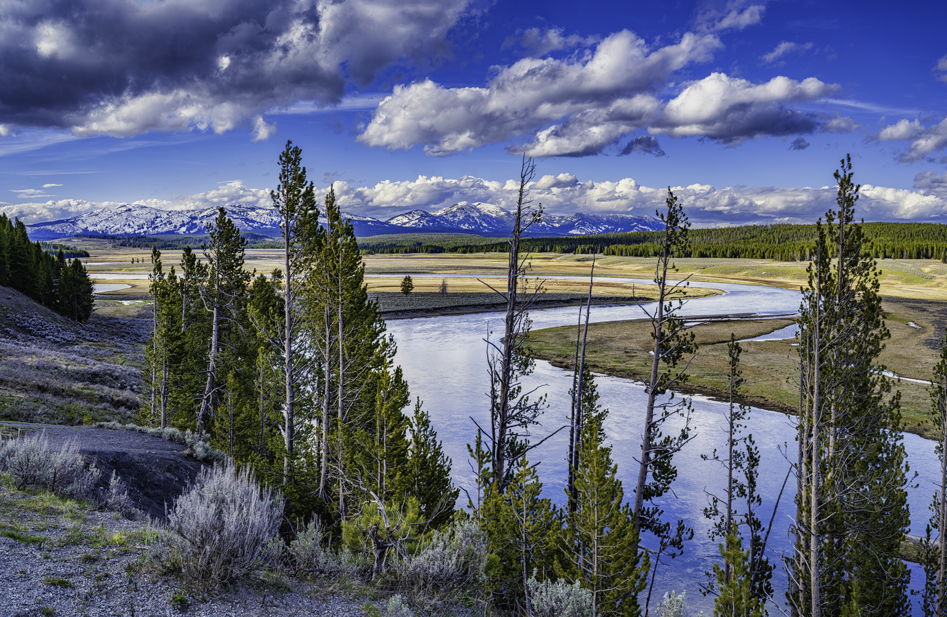 Yellowstone River View II