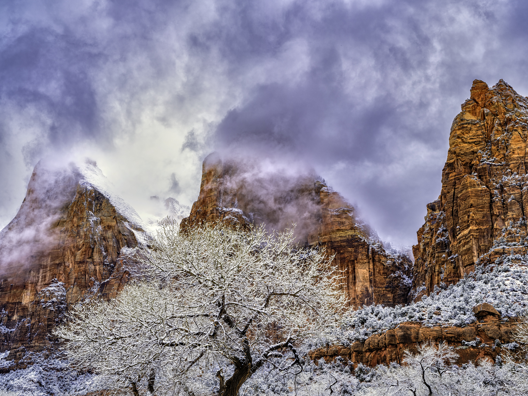 Zion Canyon View