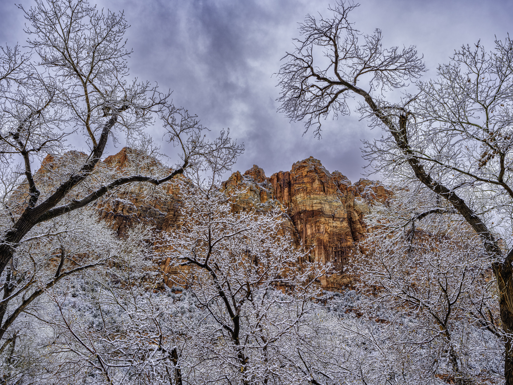 Zion Canyon View II