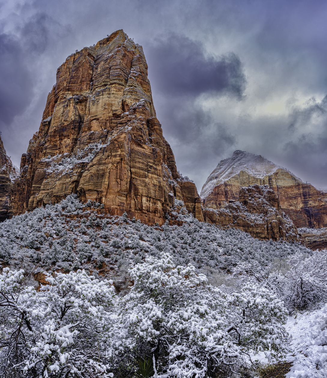 Zion Canyon View V