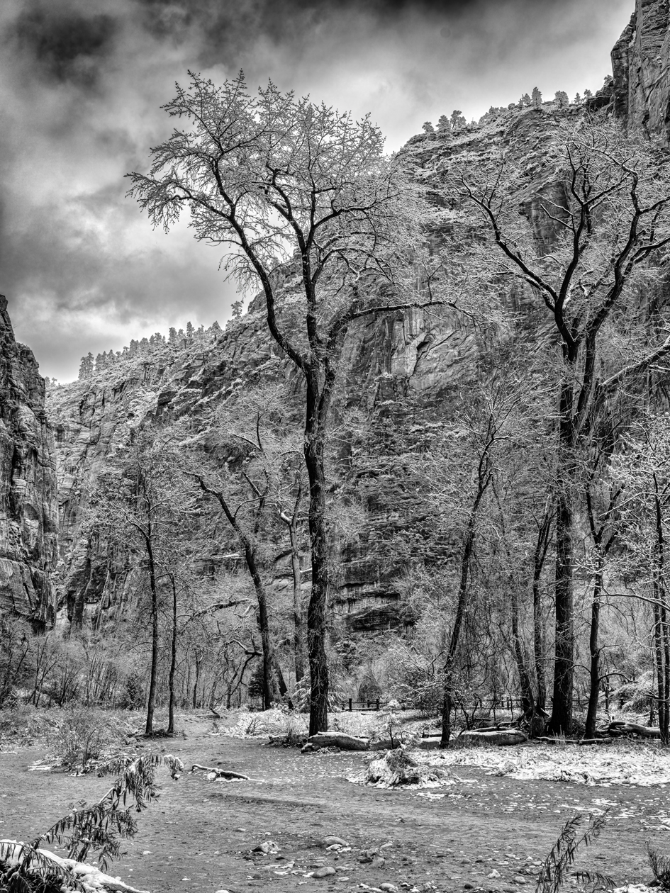 Zion Winter