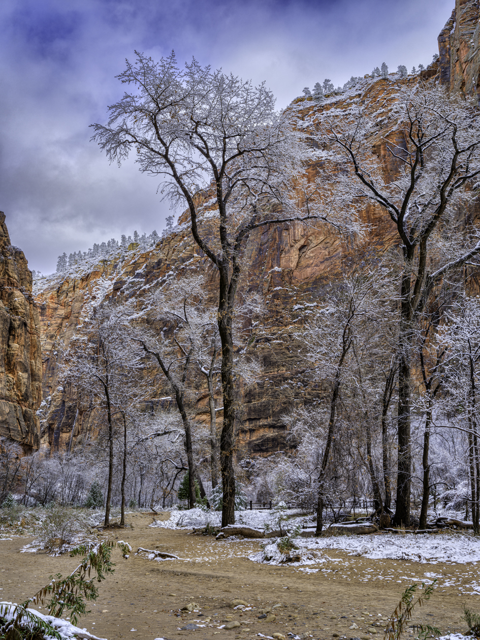 Zion Winter II