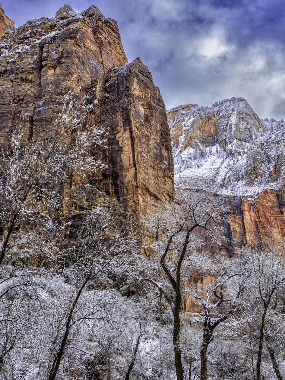 Zion Winter III