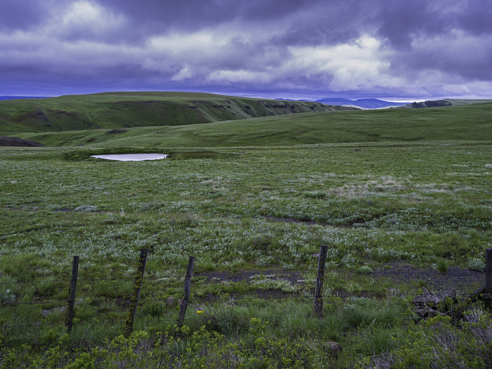 Zumwalt Prairie Evening II